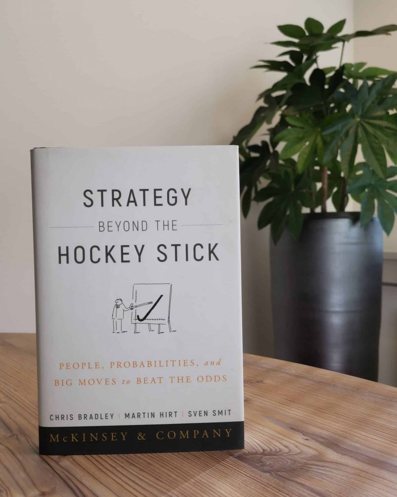 The Strategy Beyond the hockeystick